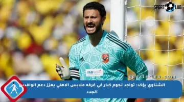الشناوي يؤكد: تواجد نجوم كبار في غرفة ملابس الأهلي يعزز دعم الوافدين الجدد